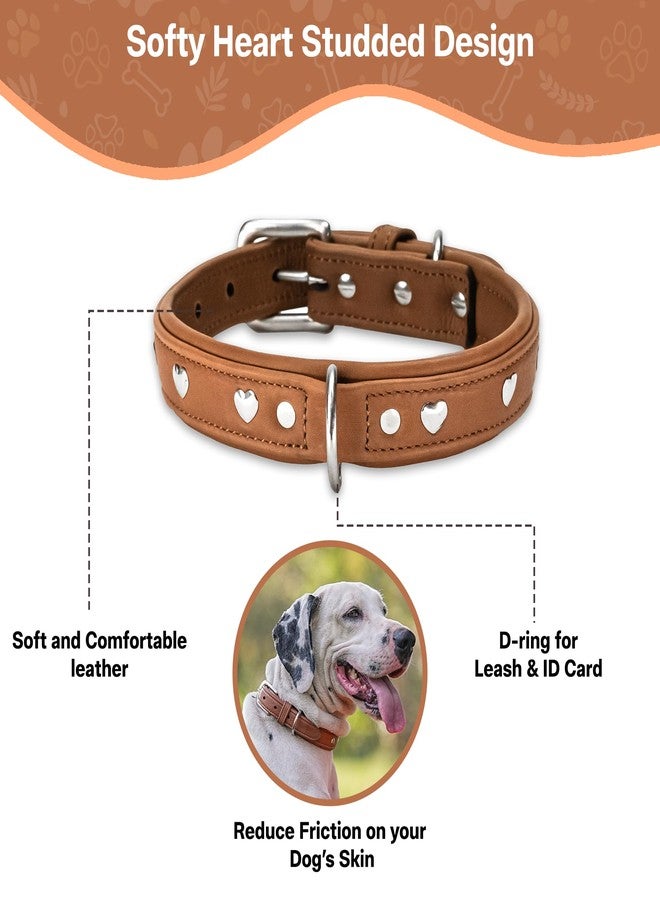 ADIL'S Adil’S Genuine Leather Heart Studded Dog Collar 1in Width, Neck Size: 12" to 26", Cognac Leather Dog Collar with Soft Padding, Sturdy & Strong D-Ring for leashes & ID Card. - Image 2